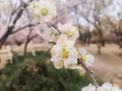 -颐和园