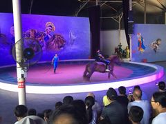 -福州罗源湾海洋世界旅游区