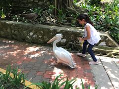 -吉隆坡雀鸟公园