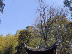 -灵岩山风景区