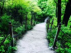 -陕西省红河谷森林公园