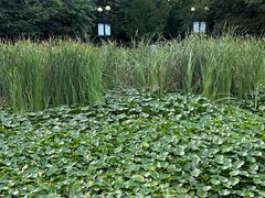 -大连植物园