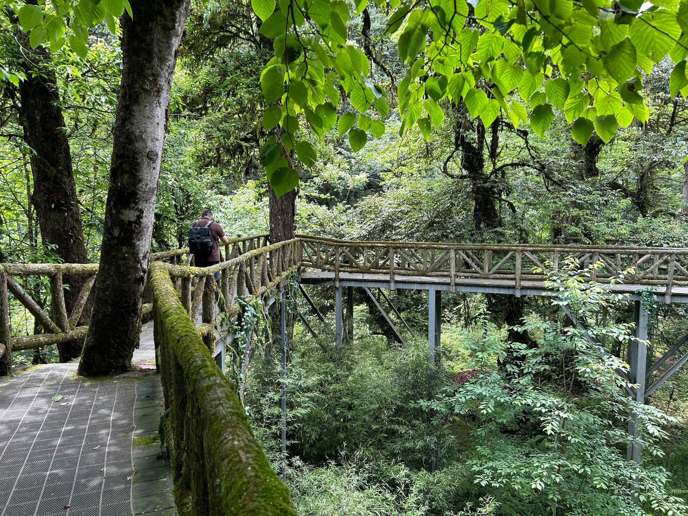 龙苍沟森林公园