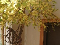 -上座云间·青年赣菜(绿茵店)