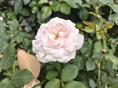 -人民公园(罗湖区)