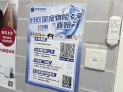 -芭比堂动物医院·心脏科·老年急重症·夜诊·吉雅分院