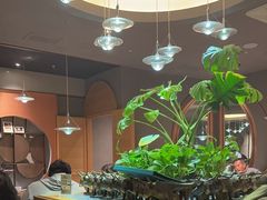 -云海肴·汽锅鸡·云南菜(领展购物广场·中关村店)