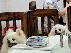 -成惠食府(赤岗店)