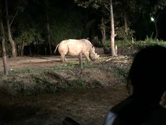 -清迈夜间动物园