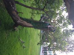 邛海宾馆-西昌邛海宾馆