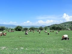 -新疆那拉提国家旅游度假区