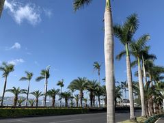 -黄金海岸环岛路