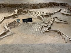 -洛阳周王城天子驾六博物馆