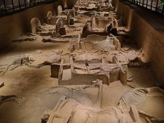 -洛阳周王城天子驾六博物馆