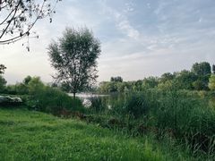 -Supine Bistro溯泮餐厅