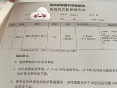 -瑞派宠物医院(锦江店)