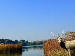 -溱湖国家湿地公园