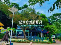 -芦仙山景区-飞越丛林探险乐园