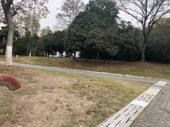 -月湖风景区