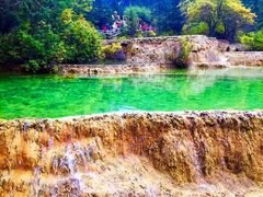 -黄龙山原始森林景区