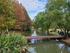 -上海滨江森林公园