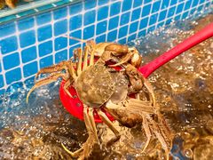 -焰江山海鲜牛排烤肉自助(锦华万达二星店)