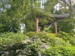 -四海公园(南山区)