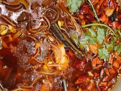 -蝶园·装修中(BFC外滩金融中心店)