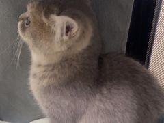 -美美宠物诊疗中心·异宠·骨科(滨江东信分院)