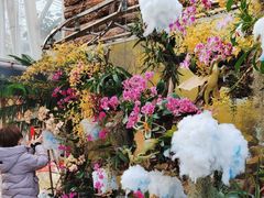 -北京植物园-展览温室