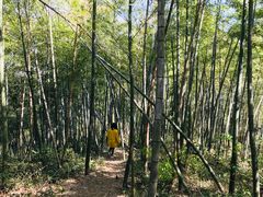 -径山寺