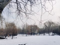-海淀公园