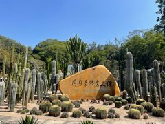 -深圳仙湖植物园