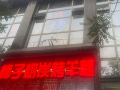 -柿子树炭烤羊腿(金台路店)