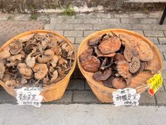 -浈阳坊旅游小镇