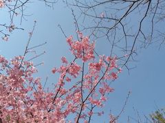 -艾溪湖湿地公园