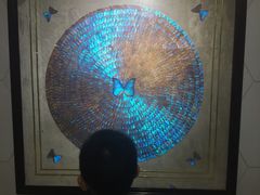 -上海昆虫博物馆