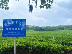 -美的鹭湖森林度假区