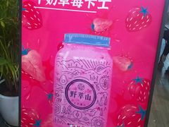 -野萃山·潮汕厚果汁(十亩地店)