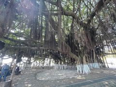 -胡里山炮台