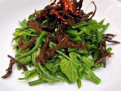 -云腾食府·云南菜