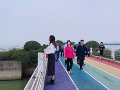 -贡湖湾湿地公园