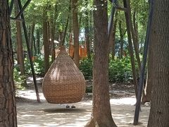 -东湖落雁景区