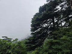 -黄山风景区