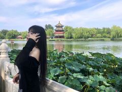-后海公园