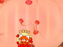 -沈阳海洋探索中心