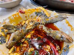 黄辣丁-重庆老火锅王(西安北路店)