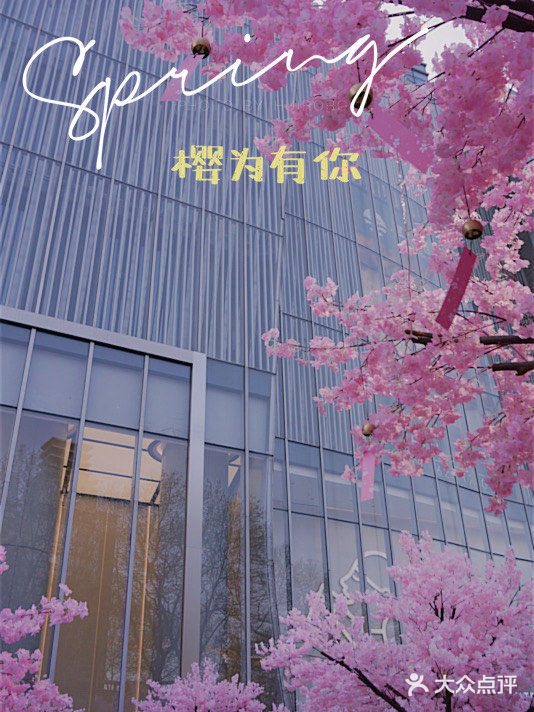 春日踏青攻略🌸｜金陵的“粉色樱花季”在金茂汇延续着…