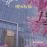 春日踏青攻略🌸｜金陵的“粉色樱花季”在金茂汇延续着…