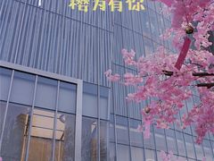 -金茂览秀城